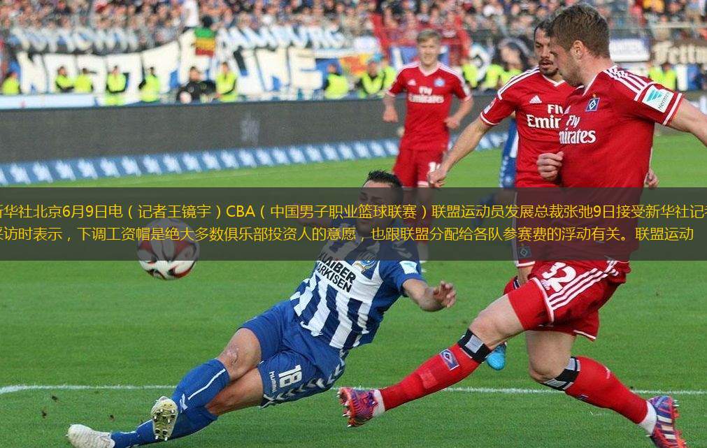 塞斯科的背