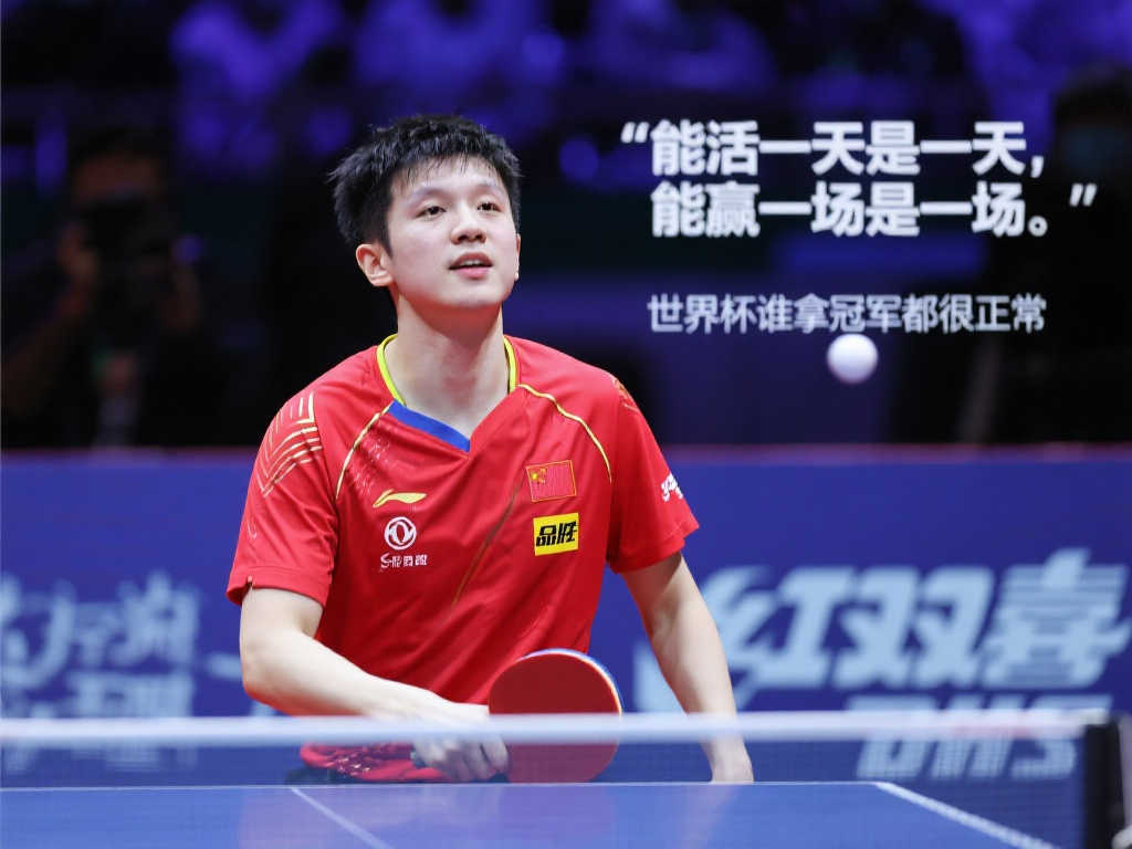 他们在比赛 他们在比赛