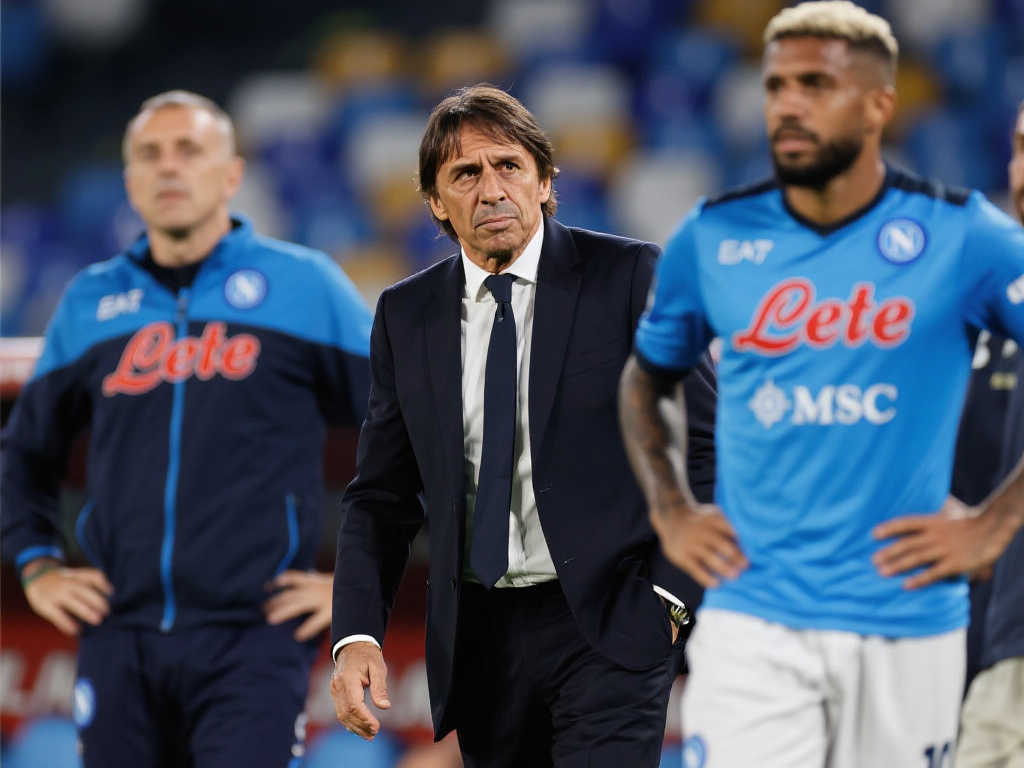 在他的职业 在他的职业