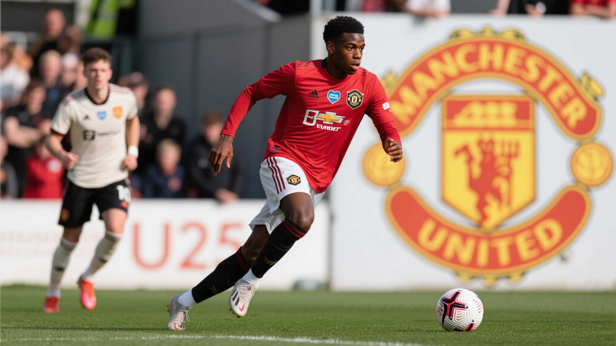 但通过科学 但通过科学